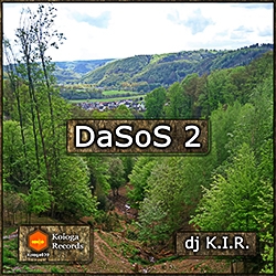 DaSoS 2