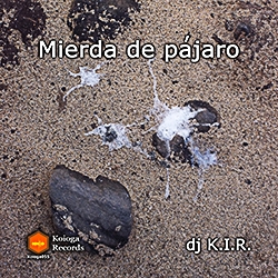 Mierda de pajaro